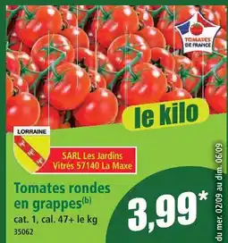 Norma Tomates rondes en grappes offre