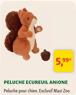 Maxi Zoo Anione peluche ecureuil offre