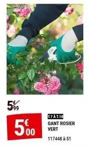 Gamm vert Gant rosier verte offre