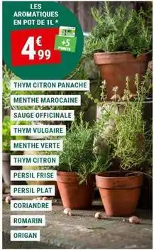 Gamm vert Persil - les aromatiques offre