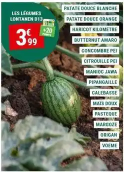 Gamm vert Orange - patate douce blanche offre