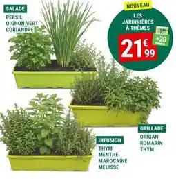 Gamm vert Persil - oignon vert coriandre offre