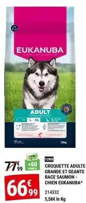 Gamm vert Eukanuba - croquette adulte grande et gente race saumon chien offre