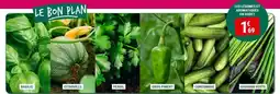 Gamm vert Persil - les génomines et champagne offre