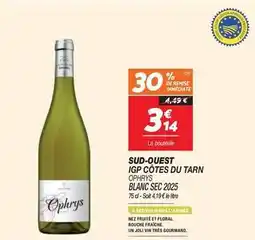 Netto Sud-ouest igp côtes du tarn offre