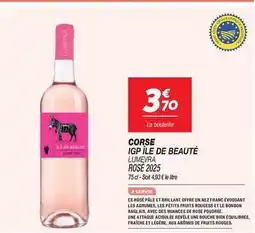 Netto Bien - corse igp offre