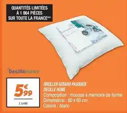 Netto Pasquier - oreiller gerard offre