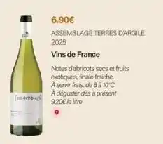 Monoprix Assemblage terres d'argile 2025 offre