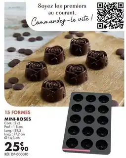 Guy Demarle Prof - 15 formes mini-roses offre