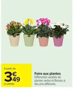 Carrefour Foire aux plantes offre