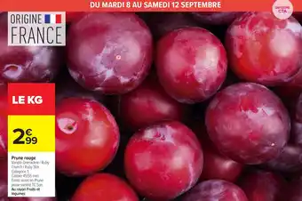 Prune rouge