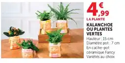 Super U Fancy LA PLANTE offre