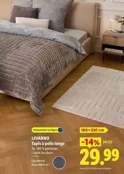 Lidl LIVARNO Tapis à poils longs offre