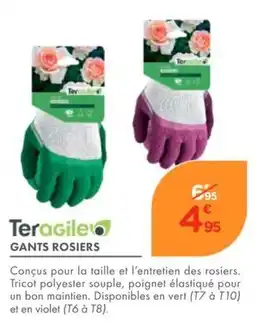 Point Vert Teragile GANTS ROSIERS offre