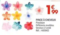 La Foir'Fouille PINCE À CHEVEUX offre