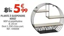 La Foir'Fouille Plante à suspendre krist offre