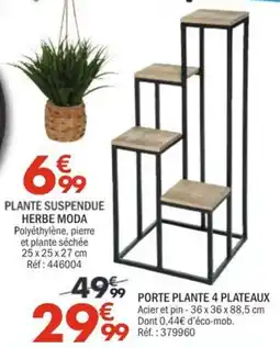 La Foir'Fouille HERBE MODA PLANTE SUSPENDUE offre