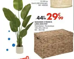 La Foir'Fouille LORA BANANIER 3 TRONCS offre