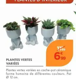 Point Vert PLANTES VERTES VARIÉES offre