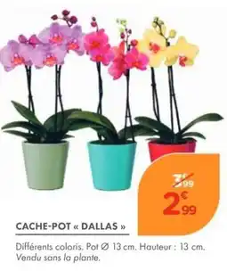 Point Vert CACHE-POT « DALLAS » offre