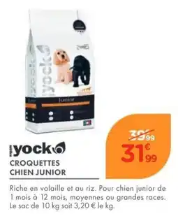 Point Vert yock CROQUETTES CHIEN JUNIOR offre