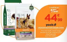 Point Vert yock Croquettes pour grand chien offre