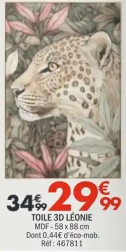 La Foir'Fouille TOILE 3D LÉONIE offre