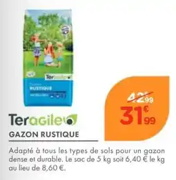 Point Vert Teragile Gazon Rustique offre