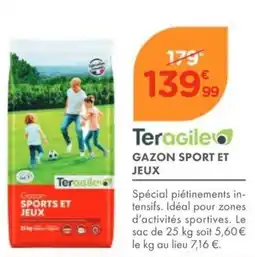 Point Vert Teragile Gazon Sport et Jeux offre