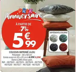 La Foir'Fouille Lilou Coussin imprimé offre