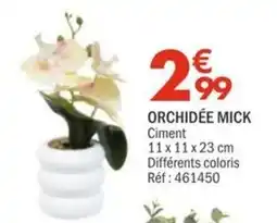 La Foir'Fouille MICK Orchidée offre