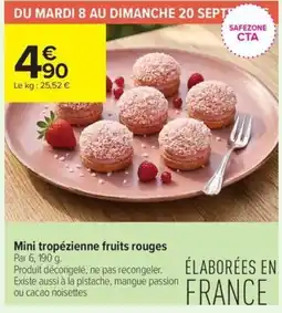 Carrefour Contact Mini tropézienne fruits rouges offre
