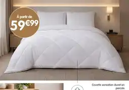b&m Couette sensation duvet en percale offre