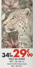 La Foir'Fouille Toile 3d léone offre