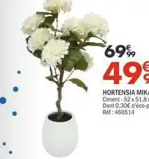 La Foir'Fouille Hortensia mika offre