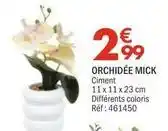 La Foir'Fouille Orchidée mick offre