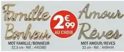 La Foir'Fouille Mot famille/bonheur offre