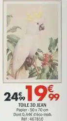 La Foir'Fouille Toile 3d jean offre