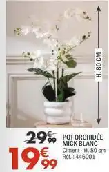 La Foir'Fouille Pot orchidée mick blanc offre
