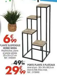 La Foir'Fouille Plante suspendue herbe moda offre