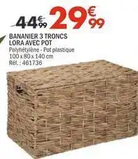 La Foir'Fouille Bananier 3 troncs lora avec pot offre