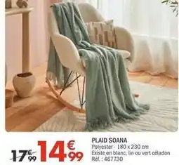 La Foir'Fouille Plaid soana offre