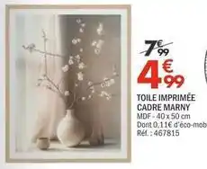 La Foir'Fouille Toile imprimée offre