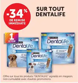 Hyper U Dentalife sur tout offre