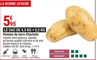 Gamm vert Pomme de terre charlotte offre