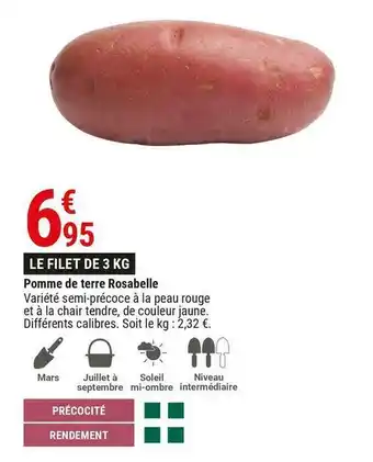 Gamm vert Pomme de terre rosabelle offre