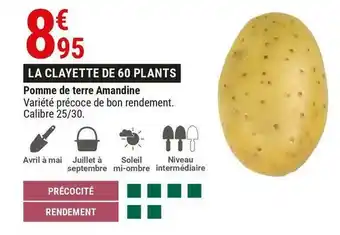 Gamm vert Pomme de terre amandine offre