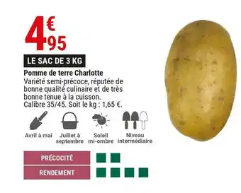 Gamm vert Pomme de terre charlotte offre