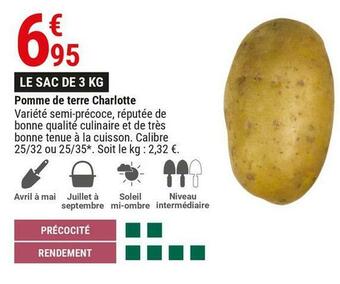 Gamm vert Pomme de terre charlotte offre