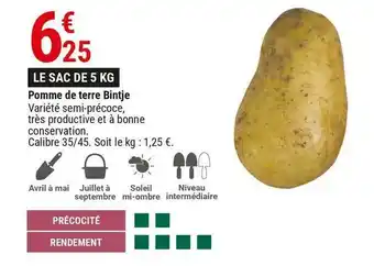 Gamm vert Pomme de terre bintje offre